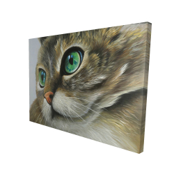 Peaceful cat portrait