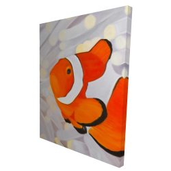 Poissons clown