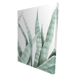 Watercolor striped desert plant