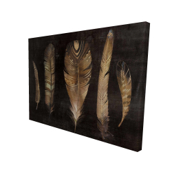 Ensemble de plumes brunes