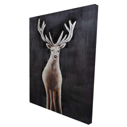 Lonely deer