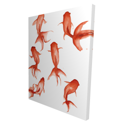 Petits poissons rouge