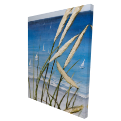 Oyat plant and seaside