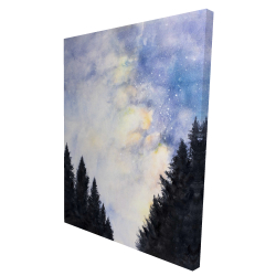 Starry sky in forest