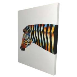 Colorful zebra