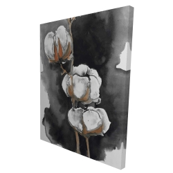 Fleurs de cotton
