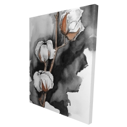 Fleurs de cotton sur fond noir