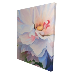 Pastel colored flower
