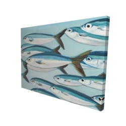 Canvas 36 x 48 - 3D - Small fish of caesio caerulaurea