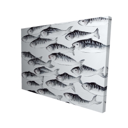 Gray school of fish