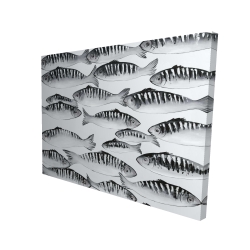 Gray shoal of fish