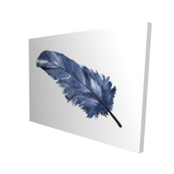 Blue feather