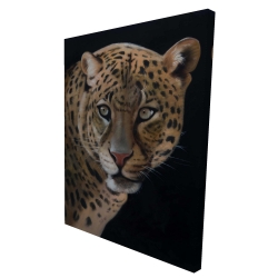 Realistic fierce leopard