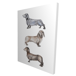Canvas 36 x 48 - 3D - Small dachshund dog