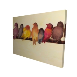 Bird family