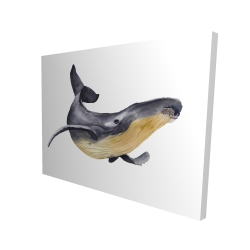 Baleine bleue aquarelle
