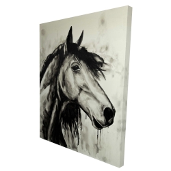 Cheval spirit