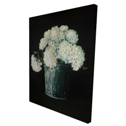 White hydrangea flowers
