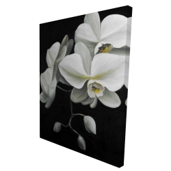 Canvas 36 x 48 - 3D - White orchids