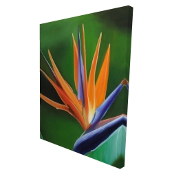 Canvas 36 x 48 - 3D - Bird of paradise flower 