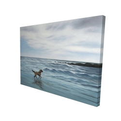 Chien à la plage