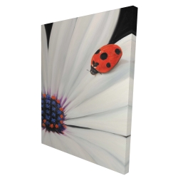 Canvas 36 x 48 - 3D - White daisy and ladybug