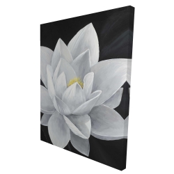Overhead view of a lotus flower