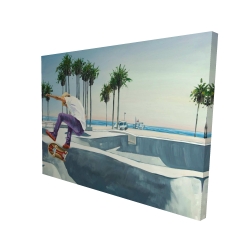 Planchodrome californie