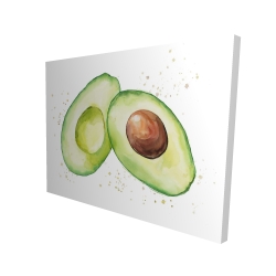 Avocat ouvert à l'aquarelle