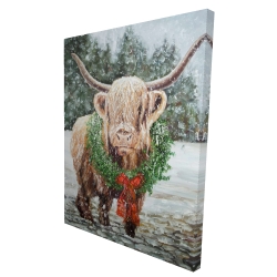 Highland christmas cow