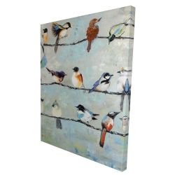 Small colorful birds