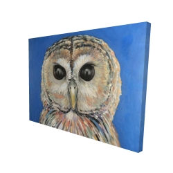 Canvas 36 x 48 - 3D - Colorful spotted owl