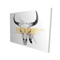 Cow skull with feather