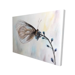 Papillon sur fleurs bleues