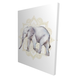 Elephant on mandalas