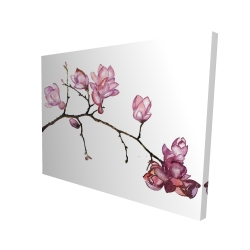 Branche de fleurs de cerisier