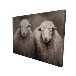 Moutons sépia