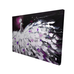 Purple peacock