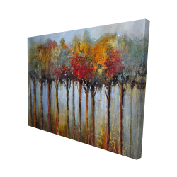 Colorful leaves trees
