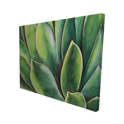 Canvas 48 x 60 - 3D - Watercolor agave plant