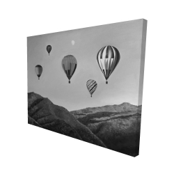 Air balloon landscape