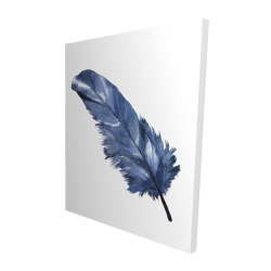 Blue feather