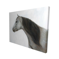 Winter horse