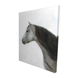 Winter horse