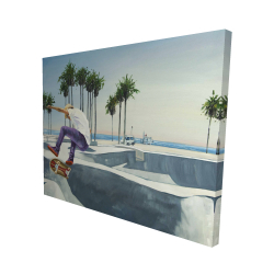 Planchodrome californie