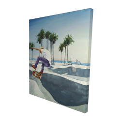 Planchodrome californie