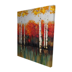 Bouleaux en automne