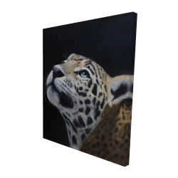 Realistic leopard face