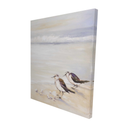 Canvas 48 x 60 - 3D - Two sandpipers on the beach