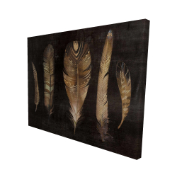 Ensemble de plumes brunes